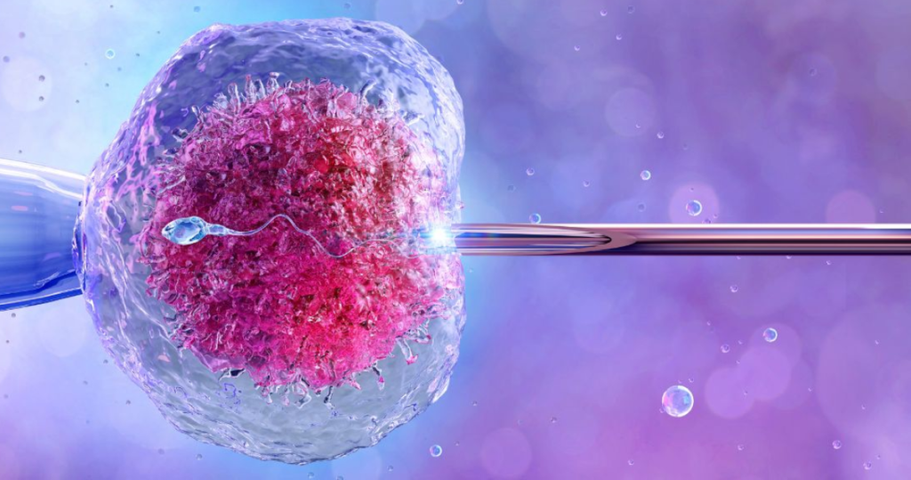 ivf treatment in anna nagar